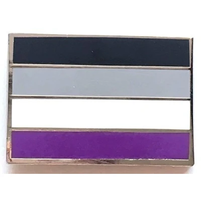 Image of Asexual LGBT Pride Oblong Flag Enamel Lapel Pin Badge