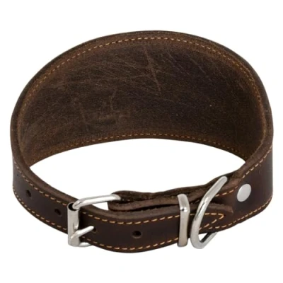 Image of JACK AND VANILLA, Greyhound Dog Collar, Greasy Leather, Brown, Size 37 cm