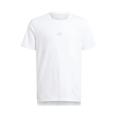 Image of adidas Sportswear Aeroready TEE Basic Tshirt White reflective silver for kids, Size: 7 8y,