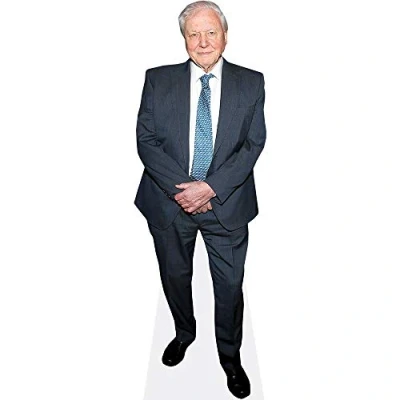 Image of David Attenborough (Suit) Mini Size Cutout
