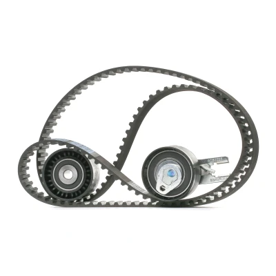 Image of 1211185, 2S6Q8A615AA, 2S6Q8A615AB Timing belt kit DAYCO KTB310 CITROËN: C3 II, Xsara Estate, I Hatchback, FORD: FIESTA 6, 5