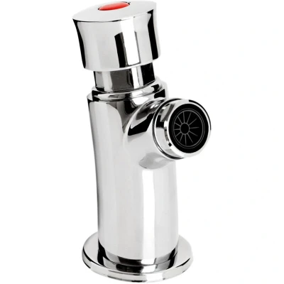 Image of Z2 bib Self Closing Single Timed Flow Basin Tap with Regulator Chrome Bristan