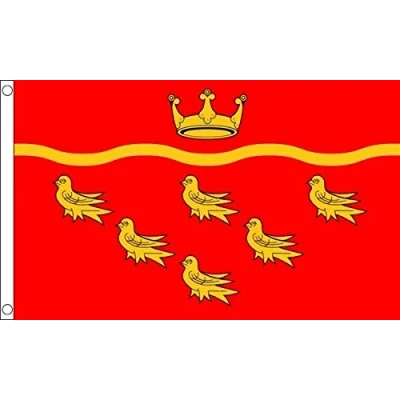 Image of East Sussex Flag 5ft x 3ft