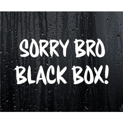 Image of Car Sticker Sorry Bro Black Box Novelty Nice Cute Bumper Boot Door Young Driver Decal
