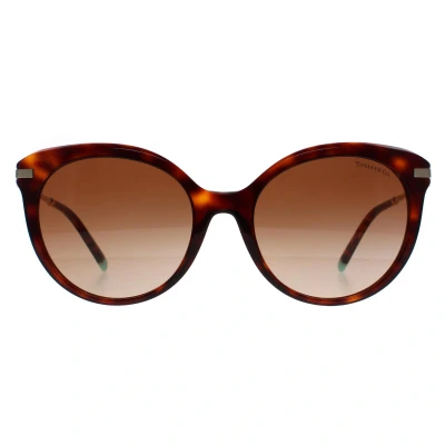 Image of Tiffany &amp; Co. TF 4189B HAVANA/BROWN SHADED 55/19/140 women Sunglasses