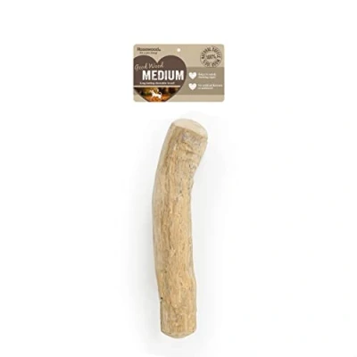 Image of Rosewood Coffee Wood Dog Chew Stick Medium Durable, Natural for Dogs&#039; Dental Health