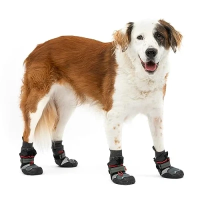 Image of Kurgo Blaze Cross Dog Shoes Winter Boots For Dogs, All Season Paw Protectors Hot Pavement and Snow Water Resistant, Reflective, No Slip Includes 2 Chili Red/Black L