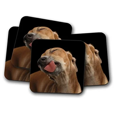 Image of 4 Set Funny Greyhound Dog Coaster Whippet Puppy Cute Joke Animal #15639