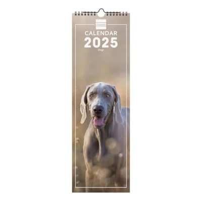 Image of Finocam International 2025 Spiral 15x48 Wall Photo Calendar Month View January December (12 months) Dogs