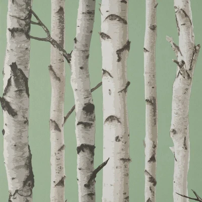 Image of Fine Decor UK Birch Trees SW SAGE
