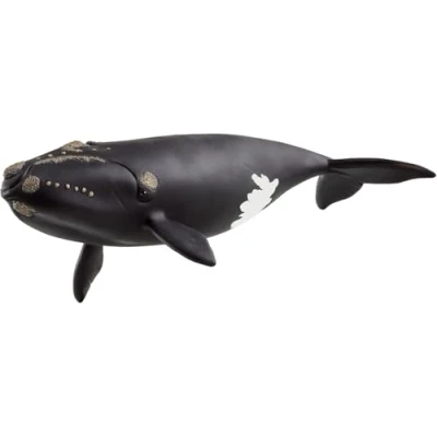 Image of schleich 14878 North Atlantic Right Whale, from 3 years WILD LIFE Figurine, 20 x 5 cm