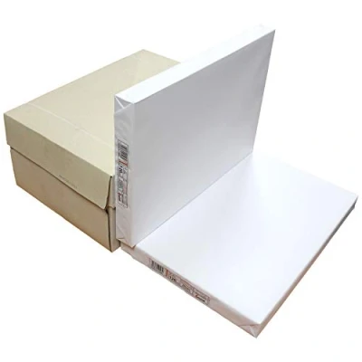 Image of Mondi BIO TOP 3 Natural White A3 120gsm Versatile Premium Hybrid Printing Paper