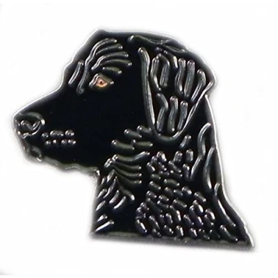 Image of NWFlags Metal Enamel Pin Badge Brooch Black Labrador Dog