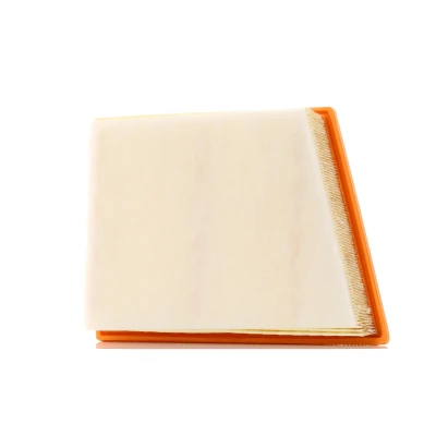 Image of 13718513944 Air Filter PURFLUX A1719 55mm 213mm 295mm Insert BMW: X1, 2 Gran Tourer, 1 Hatchback, MINI: Countryman, Hatchback