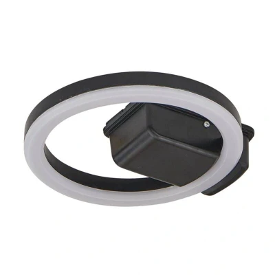 Image of Lindby LED outdoor ceiling light Finian, Ø 22 cm, CCT, dimmable