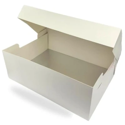 Image of ACACIA 18&quot; x 14&quot; Cake Board &amp; White Box Combo Oblong Silver Fern Drum With Matching Box, 0.5&#039;&#039; Thick 457 355mm Rectangular Transport, Single Pack