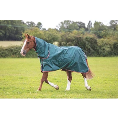 Image of Shires Typhoon 0G Lite Combo Lightweight Horse/Pony Turnout Rug Green 7&#039;0&quot; / 84&quot;,