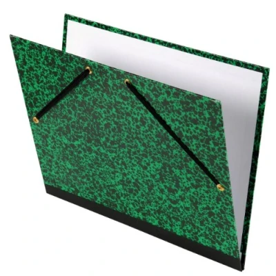 Image of Exacompta Ref. 542800E Set of 5 Annonay drawing boxes elastic closure canvas back size 52 x 72 cm format to file Raisin (500 650 mm) green marbled color