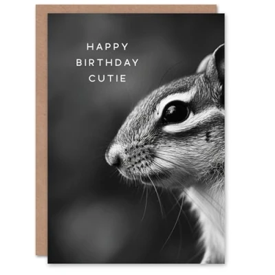 Image of Artery8 Birthday Card Cutie Chipmunk Photo Animal Lover Black and White Woodland For Him Her Man Woman Girl Boy Wife Husband Greeting