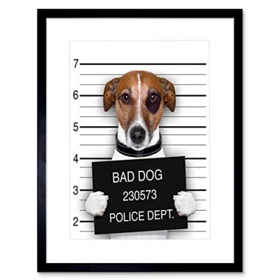 Image of Wee Blue Coo Jack Russell Dog Mugshot Police Bad Picture Framed Wall Art Print