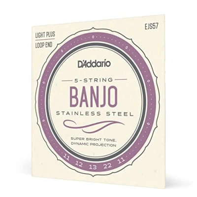 Image of D&#039;Addario EJS57 5 String Banjo Strings, Stainless Steel, Custom Medium, 11 22