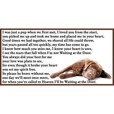 Image of Chocolate Labrador dog bereavement pet loss sympathy memorial Flexible Fridge Magnet Waiting at the Door
