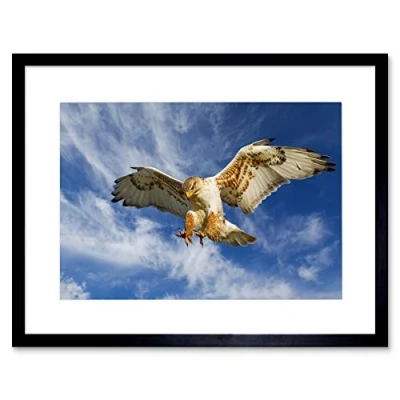 Image of Wee Blue Coo Photo Nature Bird Prey Eagle Hunting Attack Framed Wall Art Print