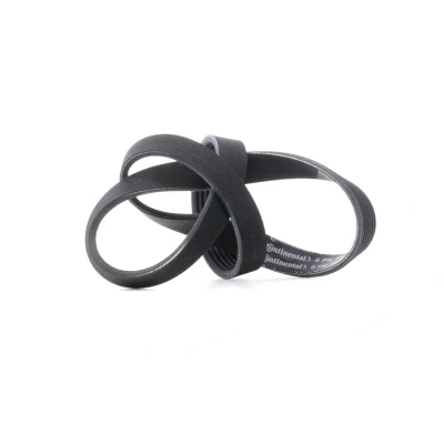 Image of 156708 V ribbed belt CONTITECH 6PK1000 1000mm 6 VOLKSWAGEN: Polo Hatchback, Golf 7, 7 Variant, PEUGEOT: 308 I SW