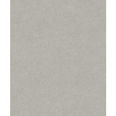 Image of Rasch paperhangings Non Woven Wallpaper (universell) Grey Silver 10,05 m x 0,53 Concrete 520255