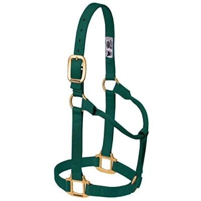 Image of Weaver Leather Original Non Adjustable Nylon Horse Halter, Small, Hunter Green