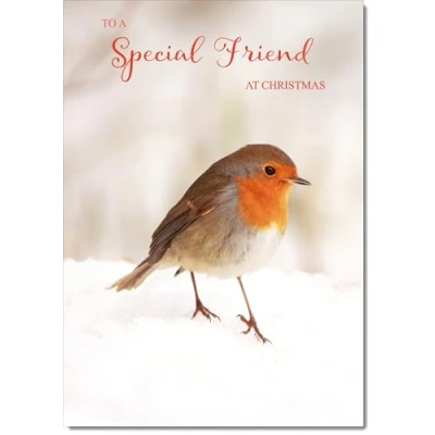 Image of doodlecards Special Friend Christmas Card Robin on Snow Large A4 Size for with Plain Envelope