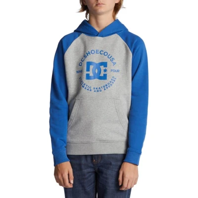 Image of DC Shoes Star Pilot Hoodie for Kids