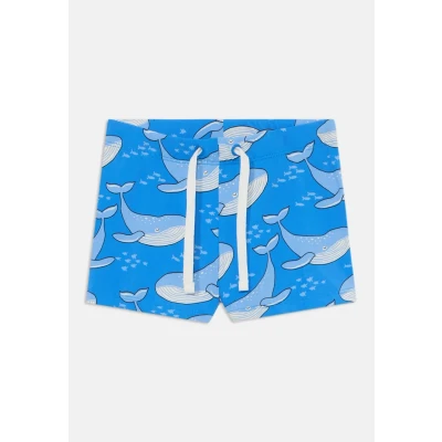 Image of Swim trunks