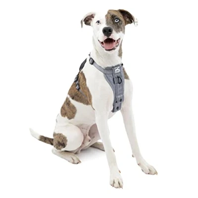 Image of Kurgo Tru Fit Smart Harness, Dog Pet Walking Quick Release Buckles, Front D Ring for No Pull Training, Includes Seat Belt Tether (Grey, Medium)
