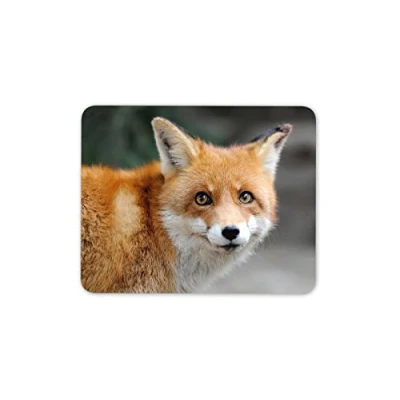 Image of Destination Vinyl ltd Beautiful Ginger Fox Mouse Mat Pad Wild Animal Mum Fun PC Computer #8584