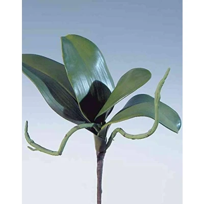 Image of artplants Artificial Orchid Phalaenopsis DORTE, 10&quot;/25cm, Green, 1 Count