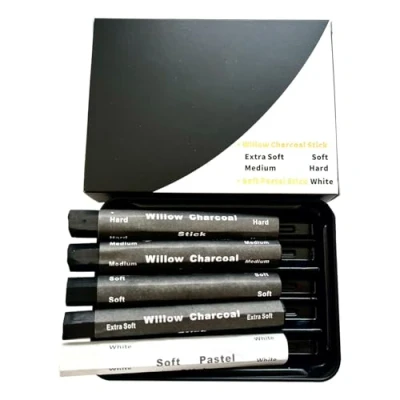 Image of Mumuve Charcoal Sticks Water Soluble Strips Pencils Drawing Set for Sketching