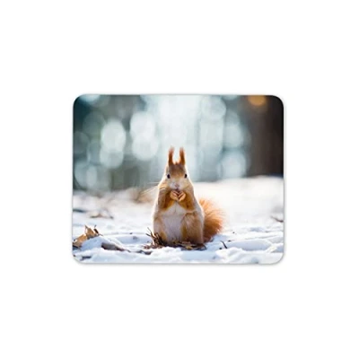 Image of Destination Vinyl ltd Cute Red Squirrel Mouse Mat Pad Forest Forrest Wild Animal PC Computer #8491