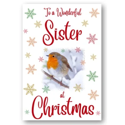 Image of Second Ave Sister Christmas Robin Xmas Holiday Festive Greetings Card
