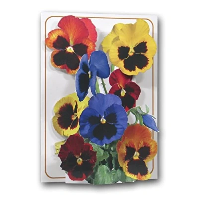 Image of The Pictoria Press Pansies a 3D Pop Up Greeting Card from