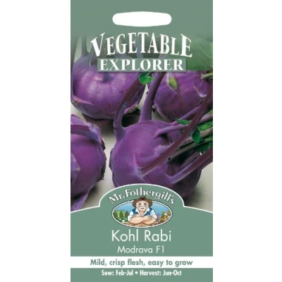 Image of Mr Fothergill&#039;s 11904 Vegetable Seeds, Kohl RABI Modrava F1