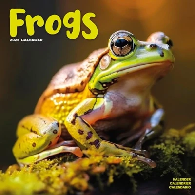 Image of Frogs Calendar 2026