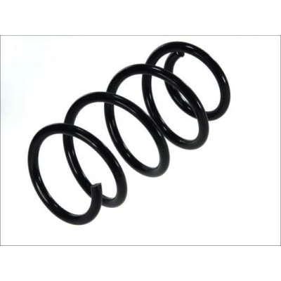 Image of 5002NH, 5002NJ, 5002NK, 5002NL, 5002NN Coil spring Magnum Technology SP069MT Front Axle FIAT: Ducato III Van, Platform / Chassis