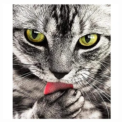 Image of Cukol Cute Cat Cross Stitch Kits for Adults, 11ct Pre Printed Stamped Counted Adults Beginners Kids UK, Easy Animal Patterns, Embroidery