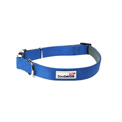 Image of Doodlebone Padded Collar, Sapphire, 1 2