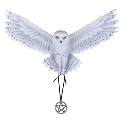Image of Nemesis Now Awaken your Magic Anne Stokes Wall Plaque 45cm White, Resin, One Size