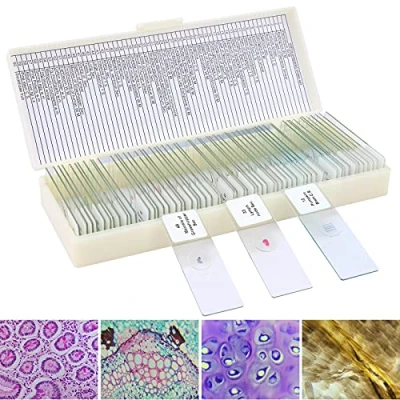Image of LAKWAR 60 Microscope Slides with Specimens for Kids, Prepared Kids Microbiology, Adults