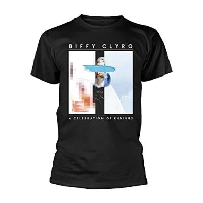 Image of Biffy Clyro T Shirt A Celebration of Endings Band Logo Official Mens Black Small