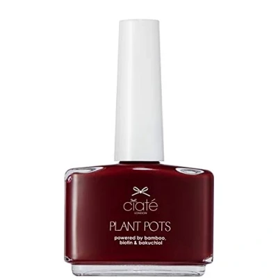 Image of Plant Pot Vegan Friendly Nail Polish Dangerous A