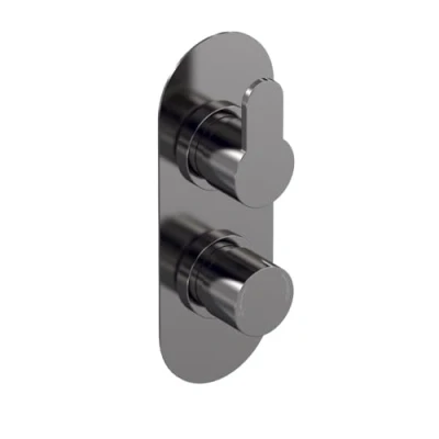 Image of Aquari Curvo Concealed Thermostatic Shower Valve Pewter, Twin Outlet